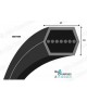 COURROIE HEXAGONAL BB131 SECTION BB Allocourroies.com