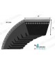 AX98 Courroie trapézoidale crantée