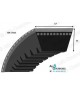BX161 Courroie trapézoidale crantée