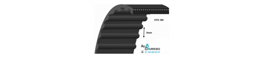 Courroie simple dentée HTD 3M | Allocourroies.com