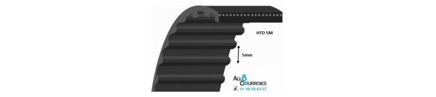 Courroie simple dentée HTD 5M | Allocourroies.com