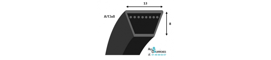 COURROIE TRAPEZOIDALE PROFIL A