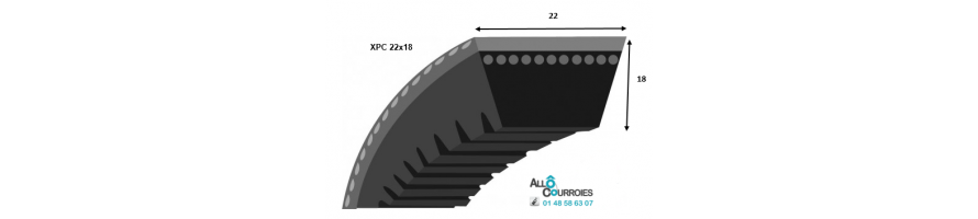 Courroie trapezoidale crantée XPC (22x18mm) | Allocourroies.com