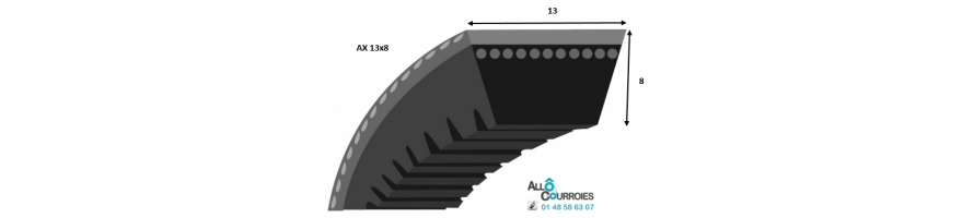 Allocourroies.com |COURROIE TRAPEZOIDALE CRANTÉE PROFIL AX