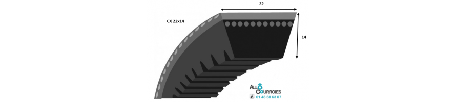 Courroie trapezoidale crantée CX (22x14 mm) | Allocourroies.com