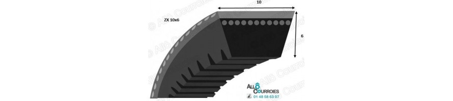 COURROIE TRAPEZOIDALE CRANTÉE PROFIL ZX 10x6 mm | Allocourroies.com