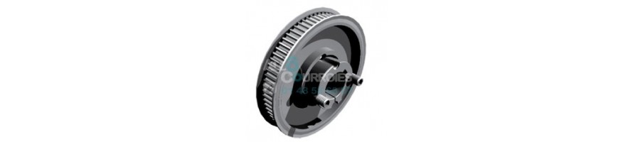 Dentée amovible H, L, XH| Allocourroies.com