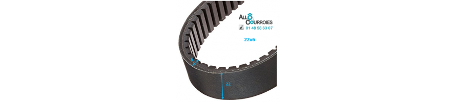 Courroie de variateur 22x6 | Allocourroies.com