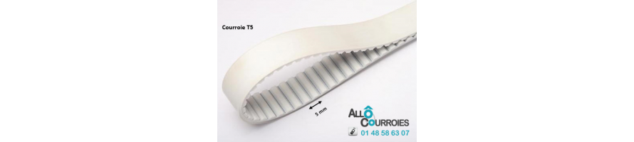 Courroie simple dentée T5 | Allocourroies.com