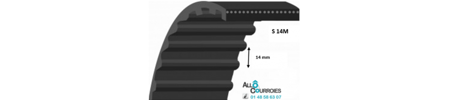 Courroie Super Torque Simple Dentée S14M | Allocourroies.com