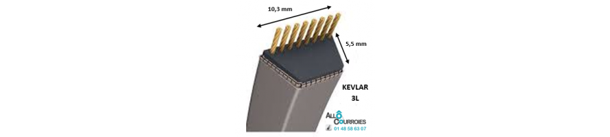 Courroie tondeuse trapézoidale Kevlar 3L 10.3x5.5mm| Allocourroies.com
