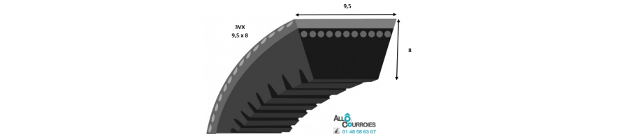 COURROIE TRAPÉZOÏDALE CRANTÉE 3VX (9x8 mm)| Allocourroies.com