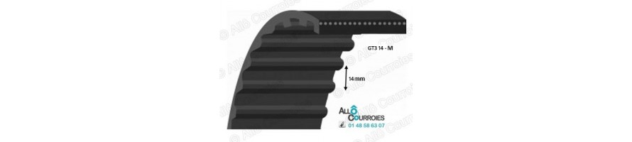 Courroie simple dentée renforcée GT Carbon (8MGT, 14MGT)| Allocourroies.com