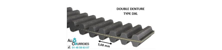 Courroie Double Dentée XL