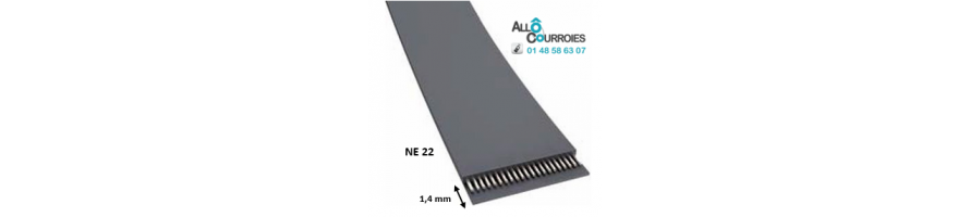  Courroie Plate NE22 | Allocourroies.com