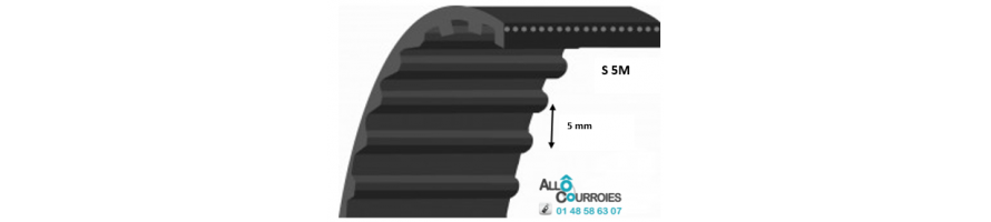 Courroie Super Torque Simple Dentée S5M | Allocourroies.com