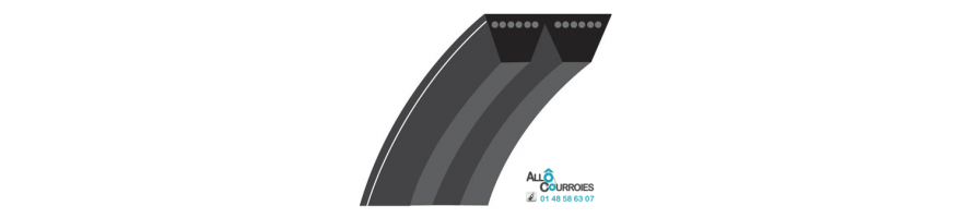 COURROIE TRAPEZOIDALE AMERICAINE PROFIL 8V (25x23mm) | Allocourroies  